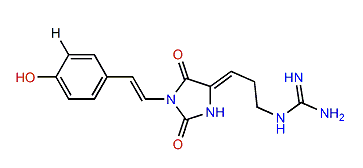 Parazoanthine B
